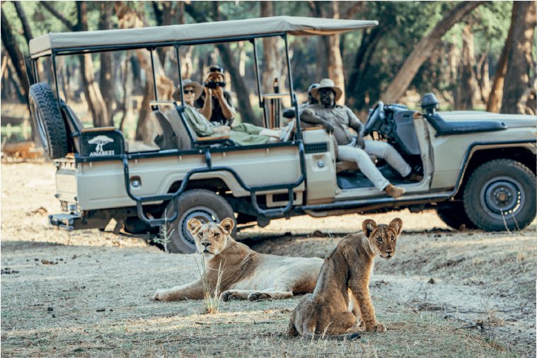 An Insider’s Guide to Lower Zambezi National Park