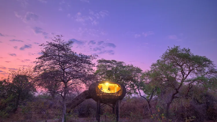 Bird's Nest Tent at Chisa Busanga. Image Courtesy of Green Safaris.
