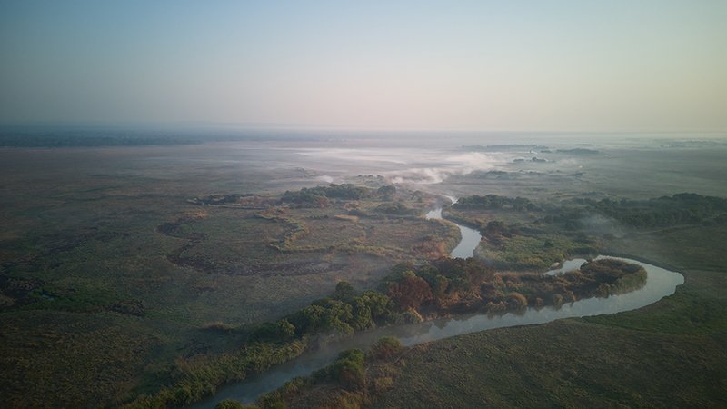 The Guardians of West Lunga