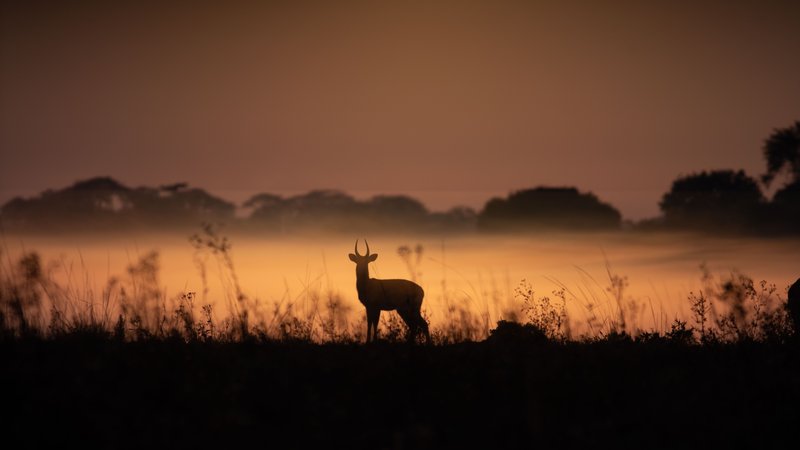 A Traveller’s Guide to Kafue National Park