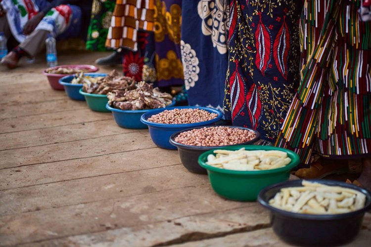 Baskets of grain, livestock, smoked fish, and calabashes of brew are presented, sustenance turned into thanksgiving. (Image by Chona Mweemba for Nkwazi Magazine).