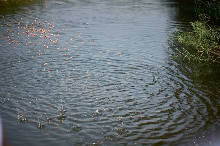 The act commemorates the drowning of the warrior brothers Chinyata and Kasombola. (Image by Chona Mweemba for Nkwazi Magazine).