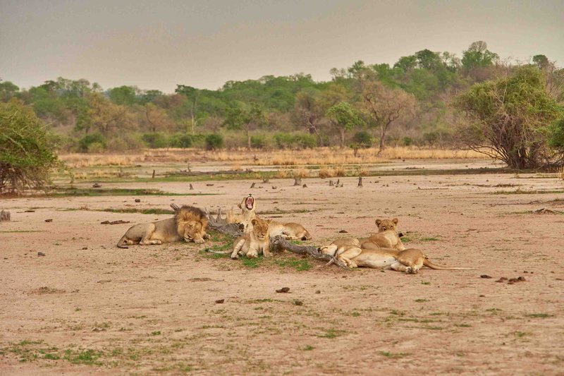 A Boost for Zambian Tourism