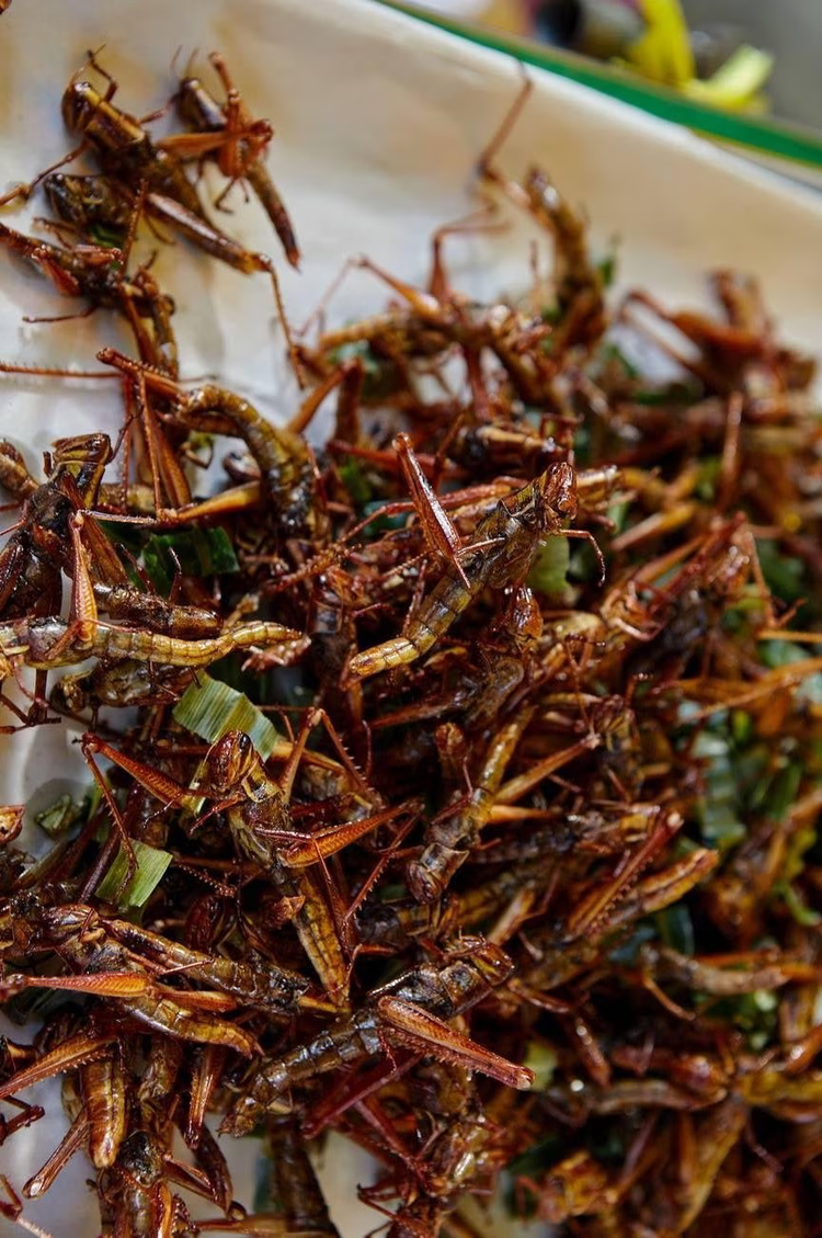 The cleaned grasshoppers are then either sun-dried or roasted to enhance flavour and preserve them for long-term storage.