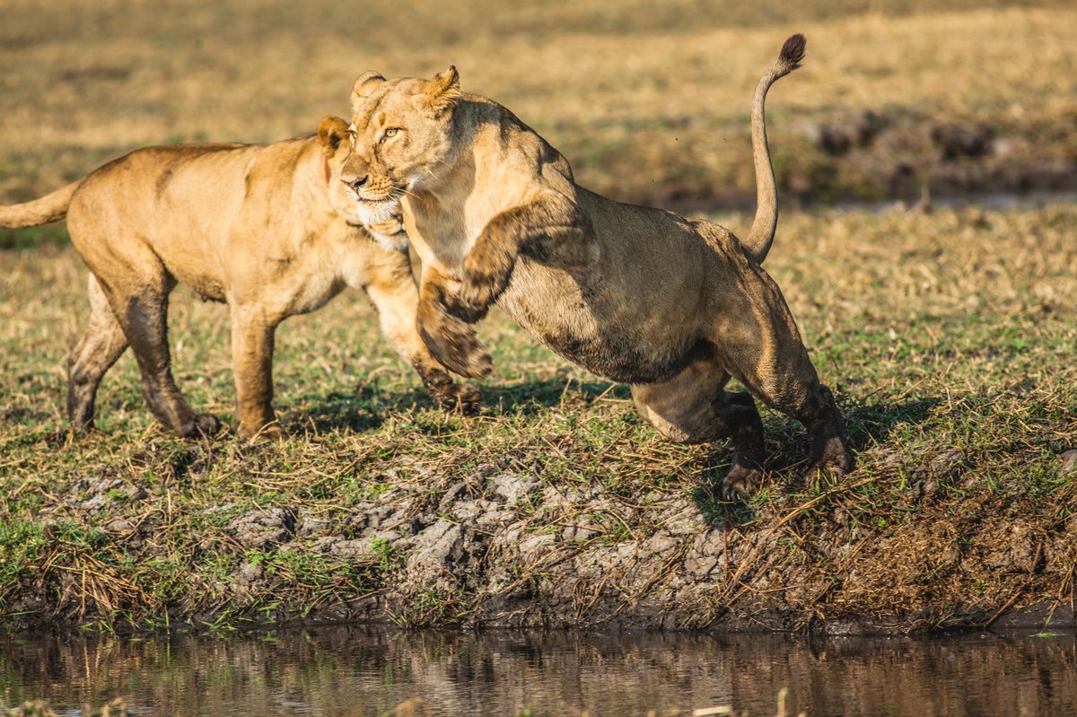 The Ultimate Tourist Guide for Your First Zambian Trip