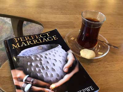 Book Review: Perfect Marriage - Mulenga Kapwepwe