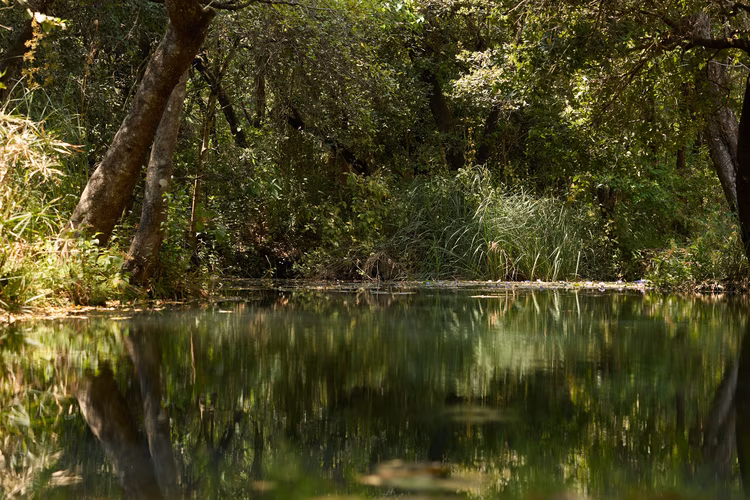 Natural rock pools fed by streams, with water clear enough to see the bottom and shallow sections. (Image by Justine Kunda for Nkwazi Magazine).