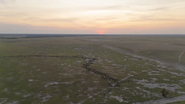 The Liuwa Plains. Image by Walid Nassar for Nkwazi Magazine.