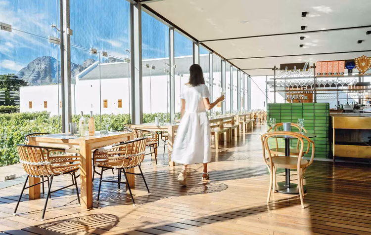 The Tasting Room-where world-class vineyards meet serene sophistication. (Image courtesy of Babylonstoren Wine Farm).