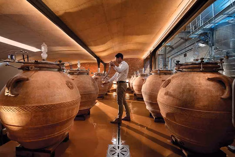 Time to taste amphora-aged wine. (Image cortesy of Babylonstoren Wine Farm).