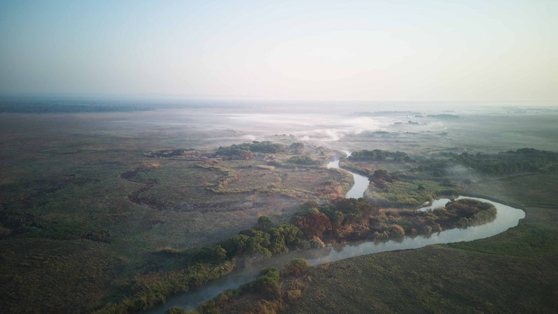 Zambia Joins the Carbon Credit Revolution