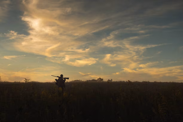 The sun peeks along the horizon, its light shines on the land but holds back its heat this early morning.