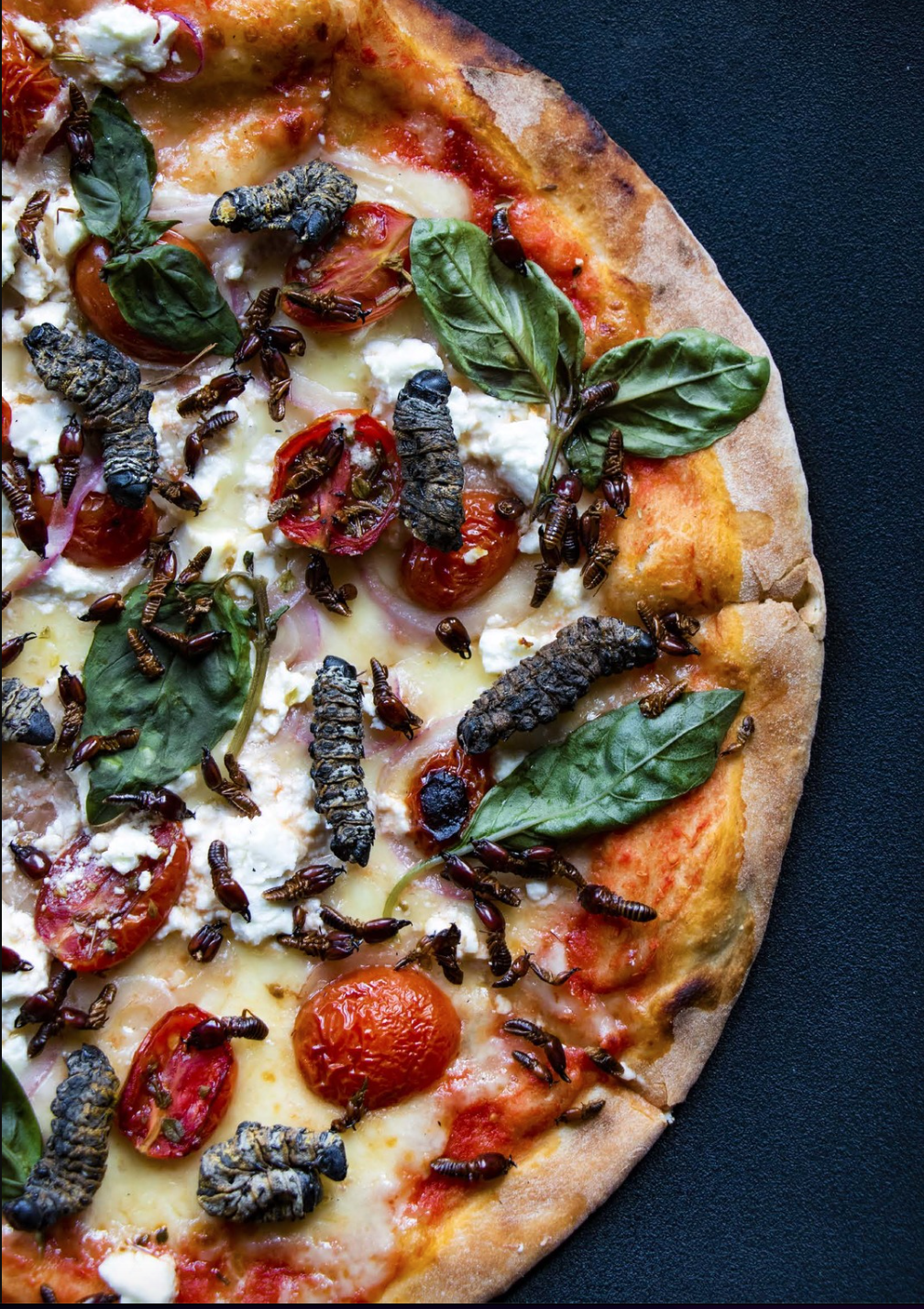 <p data-block-key="ofvoe"><b>Bugs on the Menu: Is the World Ready?</b></p> thumbnail